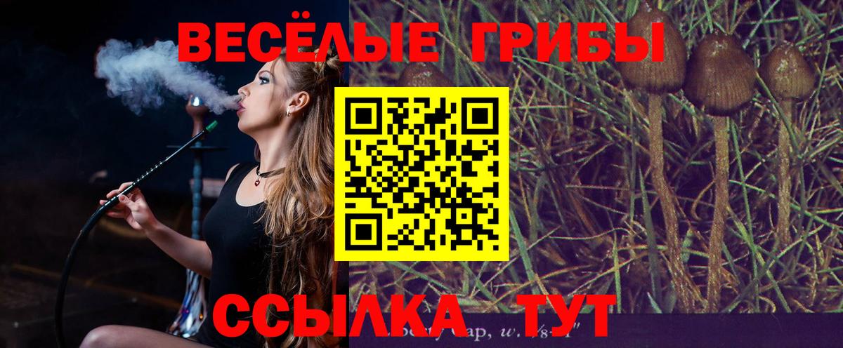 Псилоцибиновые грибы мухоморы Луховицы